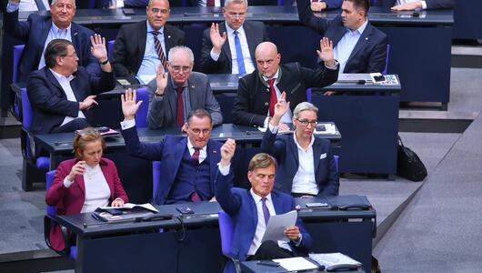 Die AfD-Fraktion im Bundestag