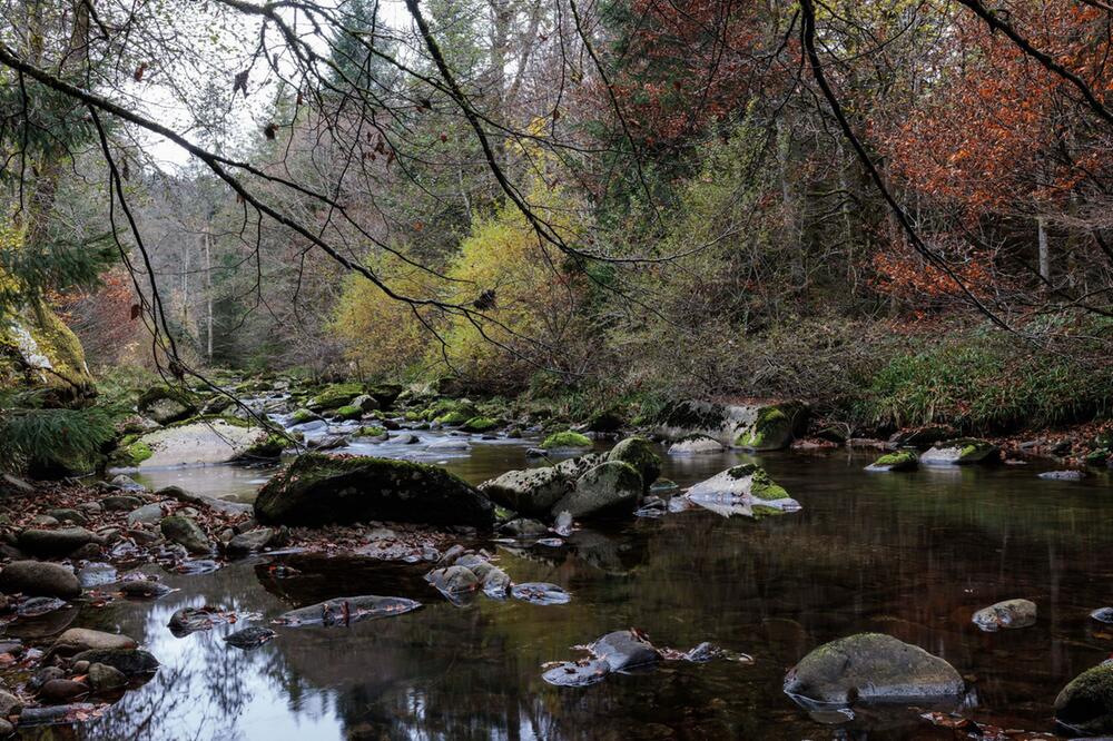 Erweiterung Nationalpark Schwarzwald