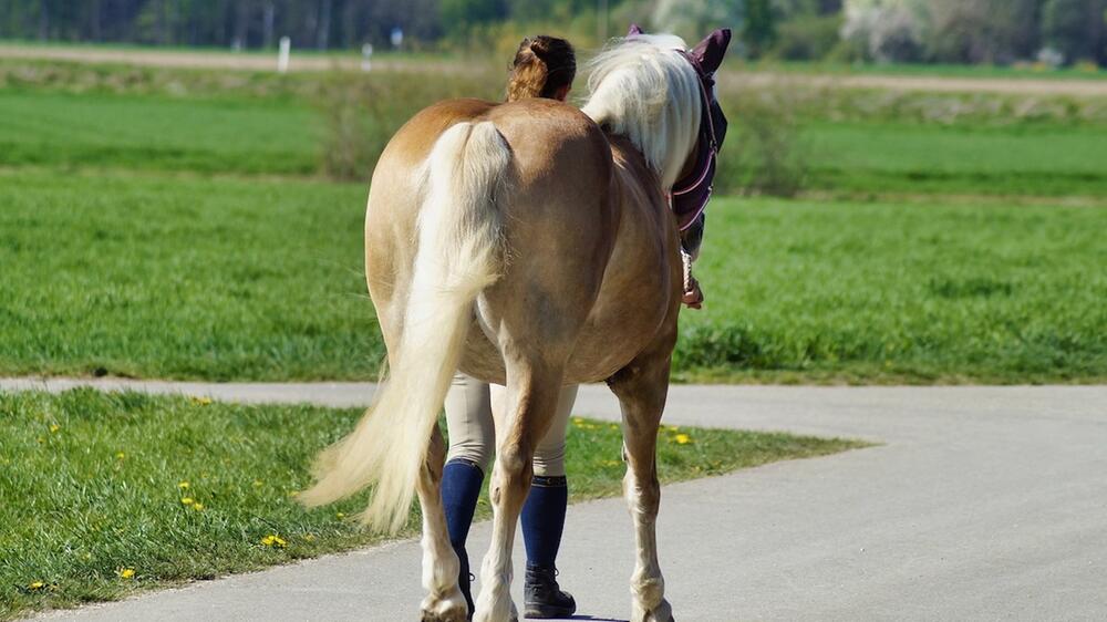 Die Frau ging mit dem Pferd einfach weiter.