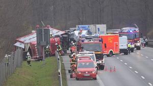 Tiertransporter kippt auf A2 um - Schweine laufen in Wald