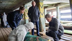 "Stralsund: Dunkle Tiefen": Die Kommissare Zabek, Hidde und Nowak können nur noch den Tod des ...