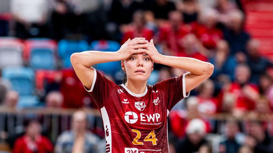 Volleyball, Pokal-Halbfinale: SC Potsdam - Dresdner SC