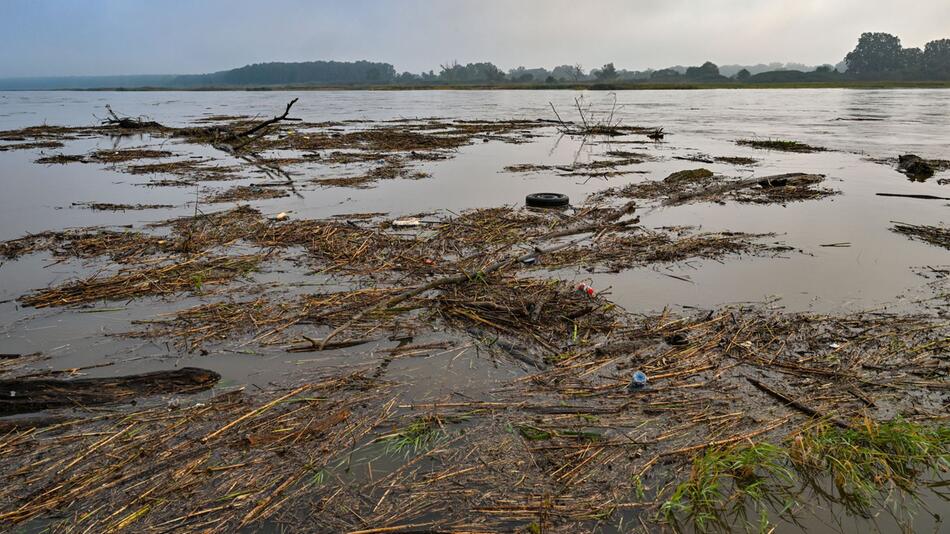 Hochwasser in Brandenburg