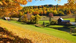 Sleepy Hollow Farm