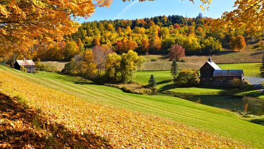 Sleepy Hollow Farm