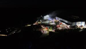 Großeinsatz der Feuerwehr: Lagerhalle auf Recyclinghof brennt in Niedersachsen