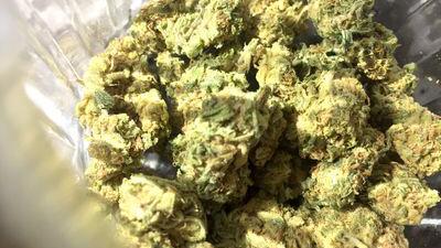Cannabisblüten