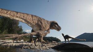 Kinder entdecken Knochen von jungem Tyrannosaurus