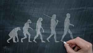 Evolution