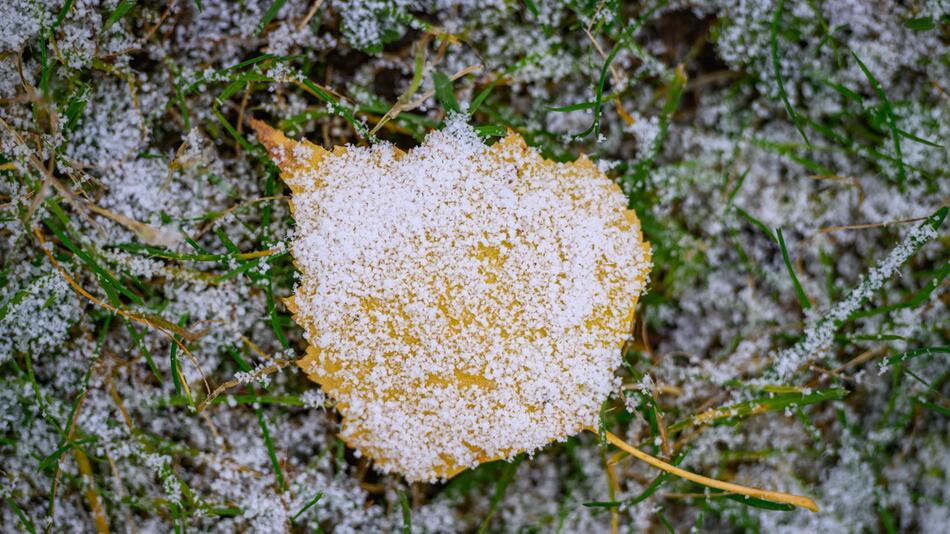 Winterwetter in Brandenburg