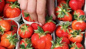Umfrage zu Früchten und Beeren