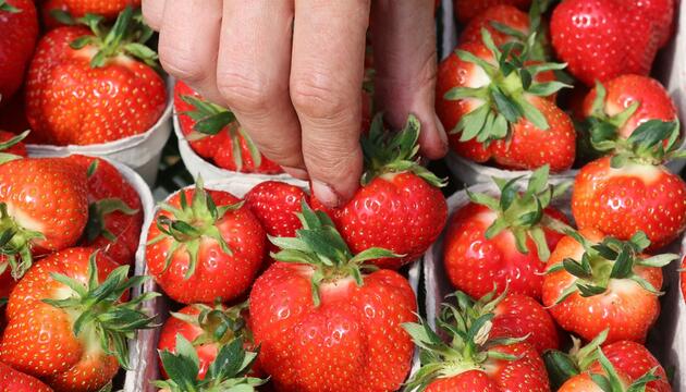 Umfrage zu Früchten und Beeren