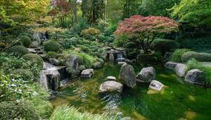 Botanischer Garten, Pflanzenvielfalt, Augsburg, Bayern