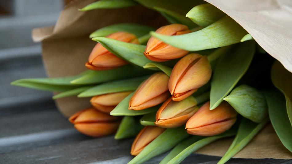 Darf man im Februar Tulpen kaufen?