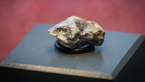 Ribbecker Meteoriten-Bruchstücke im Naturkundemuseum