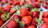 Erdbeeren werden zum Verkauf angeboten