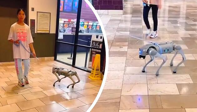Hightech-Haustier: Junge Frau führt Roboterhund durch Einkaufszentrum in Texas