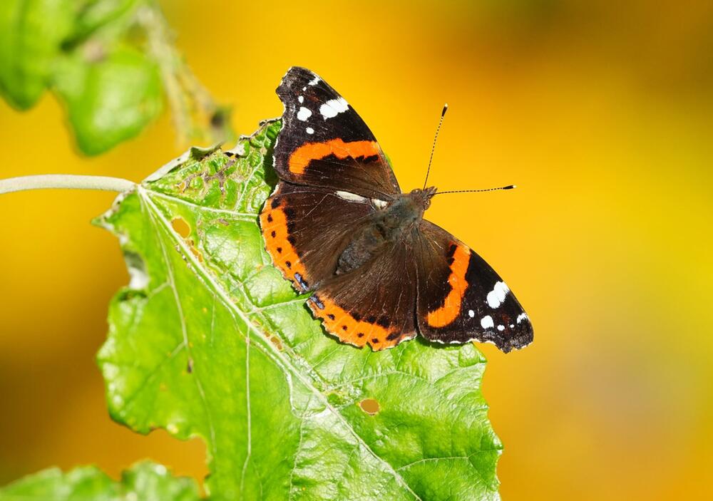 Symbolfoto: Sonnenschein und warme Temperaturen