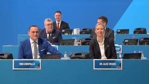 Umfrage: Mehrheit hält AfD für rechtsextrem