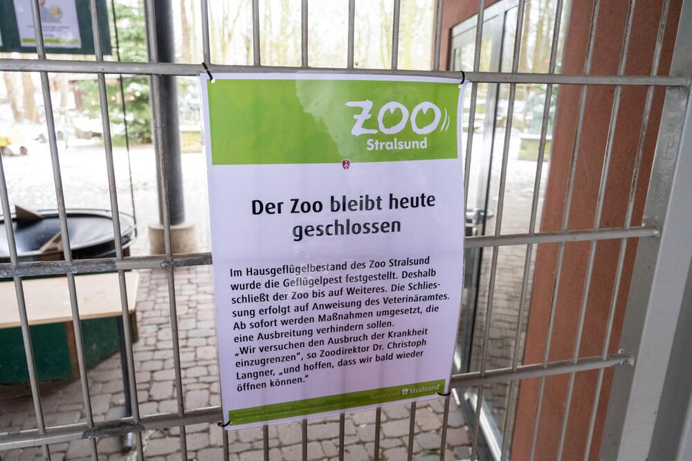 Zoo Stralsund wegen Geflügelpest geschlossen