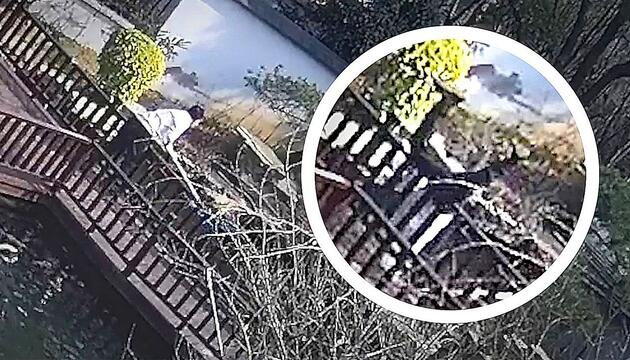 Huhn sitzt im Teich fest: Rettungsversuch nimmt unerwartete Wende