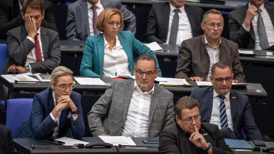 AfD Bundestag Ordnungsrufe