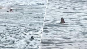 Aufregung am Strand: Großer Hai nähert sich plötzlich Badenden