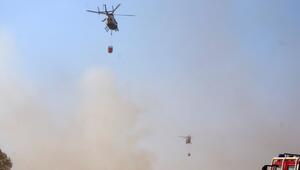 Waldbrand in Rheinland-Pfalz