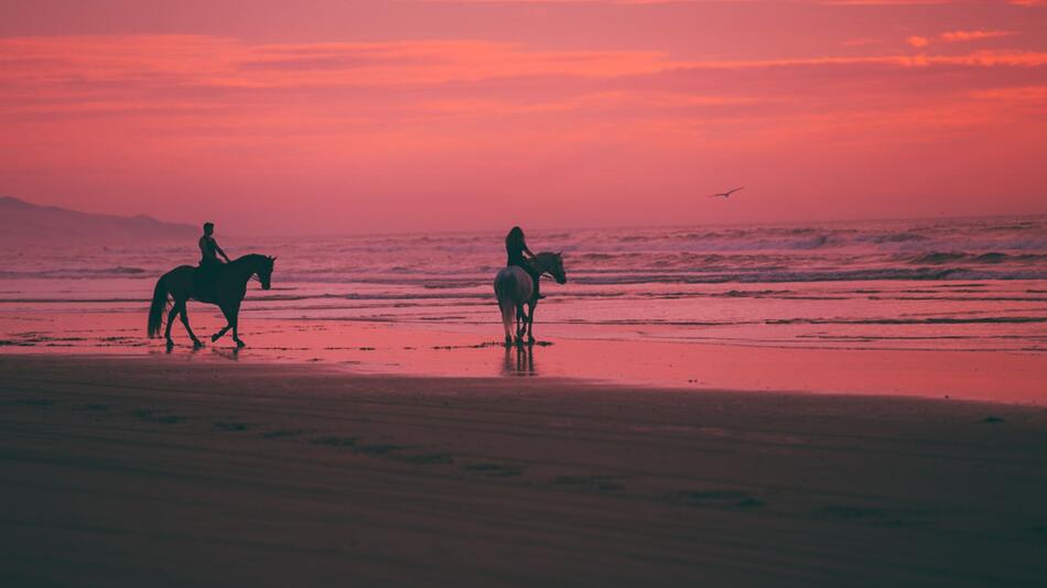 Urlaub mit Pferd? Das sind die 5 besten Reithöfe.