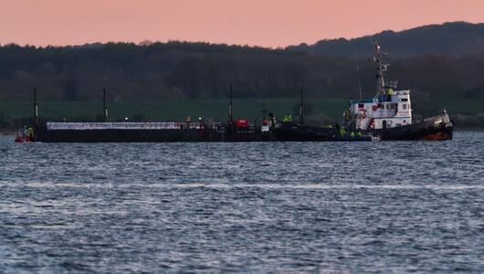 Weitere Entwicklung zum Buckelwal in der Ostsee
