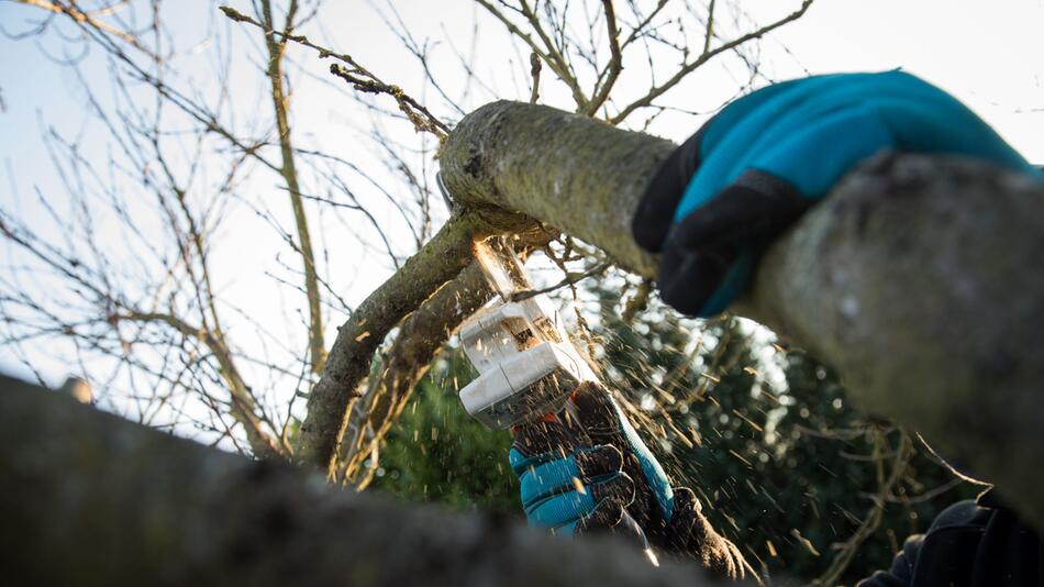 Gartenarbeit im Winter