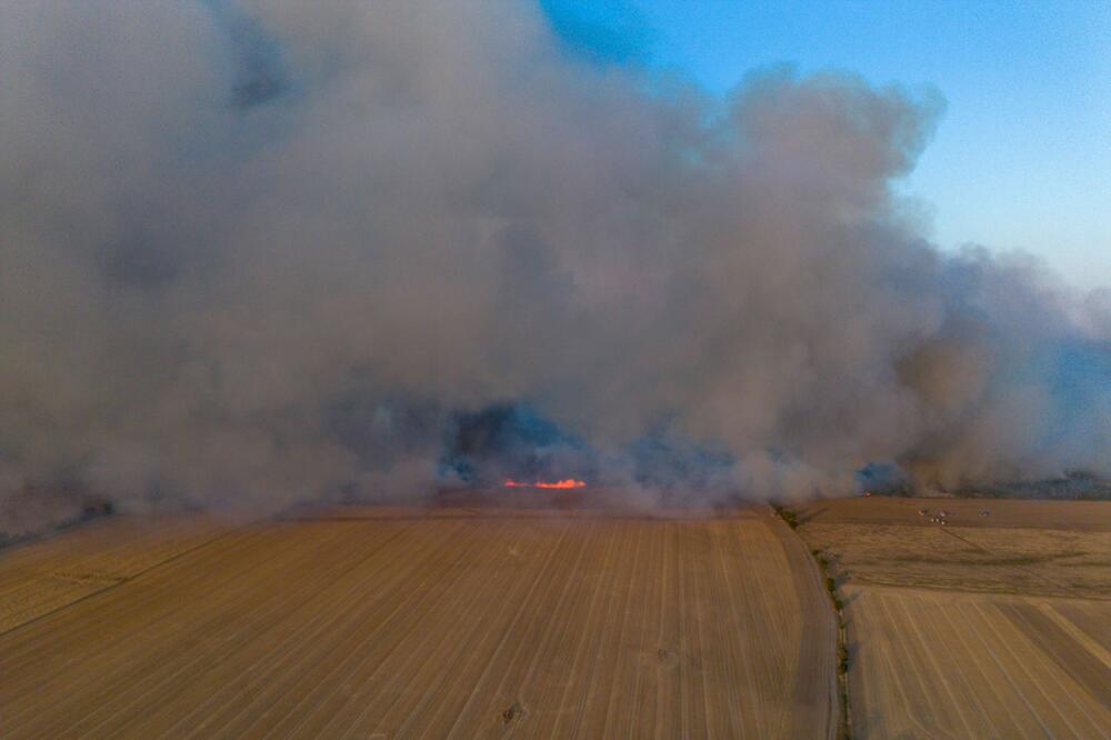 Waldbrand in der Gohrischheide