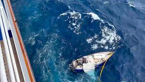 Mitten im Pazifik: Kreuzfahrtschiff rettet verletzten Segler vor Oregons Küste
