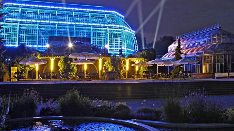 Botanische Nacht in Berlin