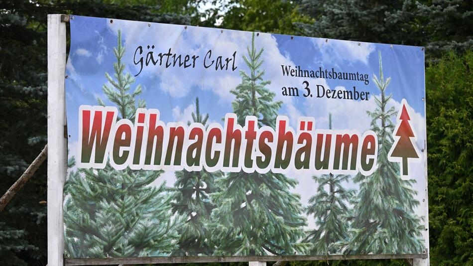 Weihnachtsbäume in Thüringen