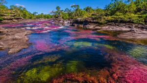 Caño Cristales, 5-Farben-Fluss in Kolumbien