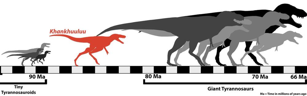 Tyrannosauroiden