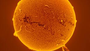 500,000-km Solar Prominence Eruption 