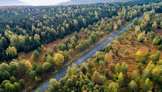 Forscher fordern CO2-Entnahmen
