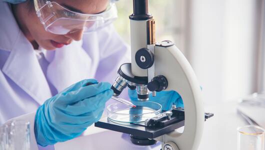 Disorazol Z1, Krebsforschung, Wissenschaft