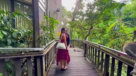 Griff nach dem Rock: Frecher Affe ist Touristin auf den Fersen