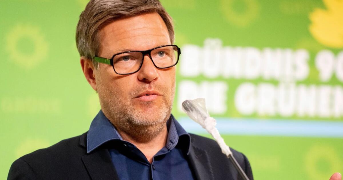 Grünen-Chef Robert Habeck kritisiert Corona-Warn-App | WEB.DE