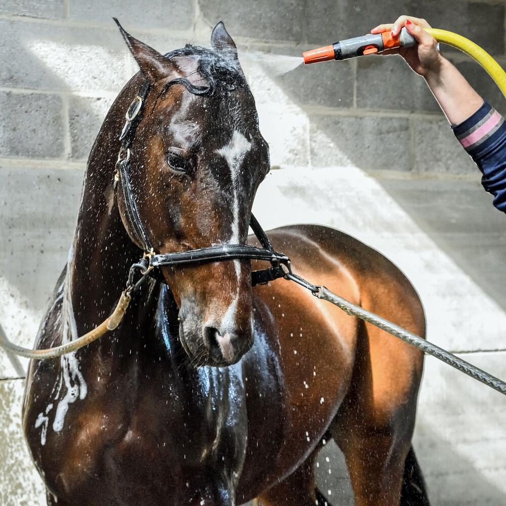 Eine kalte Dusche fördert die Regeneration.