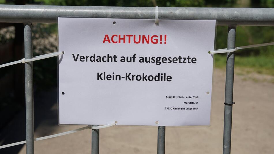 Seen wegen ausgesetzter Klein-Krokodile abgesperrt