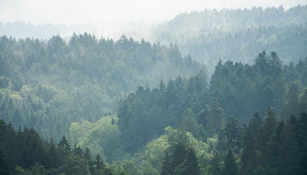 Wetter in Baden-Württemberg