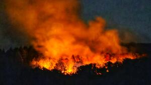 Brand in Waldgebiet mit Kampfmitteln