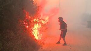 Tote bei Waldbränden in Südeuropa - Feuer wüten weiter