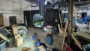 Cannabisplantage in Remscheid entdeckt