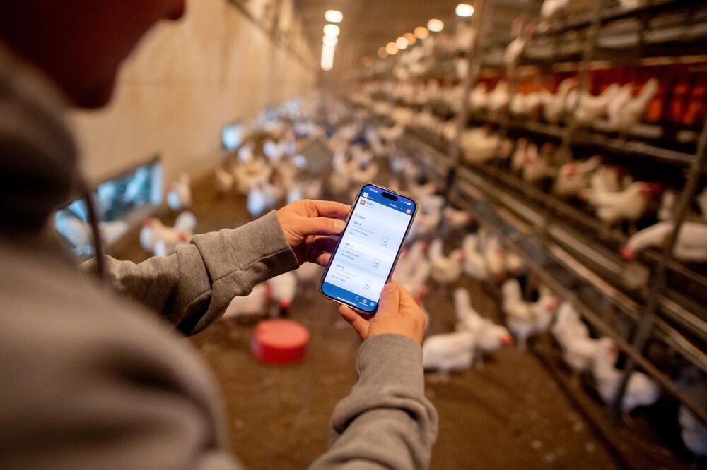 Digitalisierung und Einsatz von KI in der Landwirtschaft