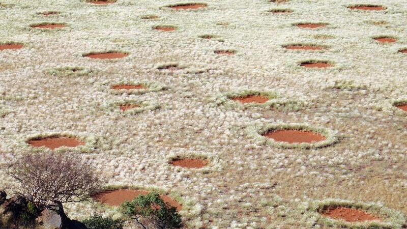 Feenkreise in Namibia